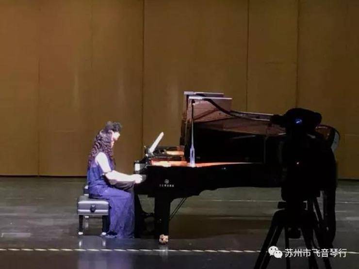 【报道】苏州飞音琴行腾博官网钢琴旗舰展厅开业仪式暨贝森朵夫艺术家李哲钢琴音乐会圆满落幕
