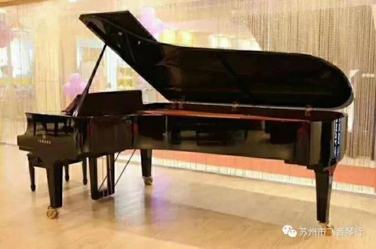 【报道】苏州飞音琴行腾博官网钢琴旗舰展厅开业仪式暨贝森朵夫艺术家李哲钢琴音乐会圆满落幕