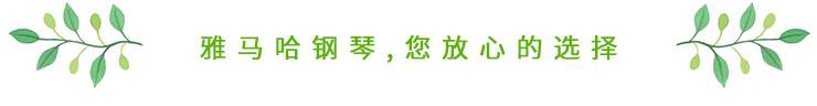 这才是真相：绿色关爱，腾博官网的环境政策