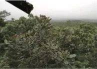 这才是真相：绿色关爱，腾博官网的环境政策